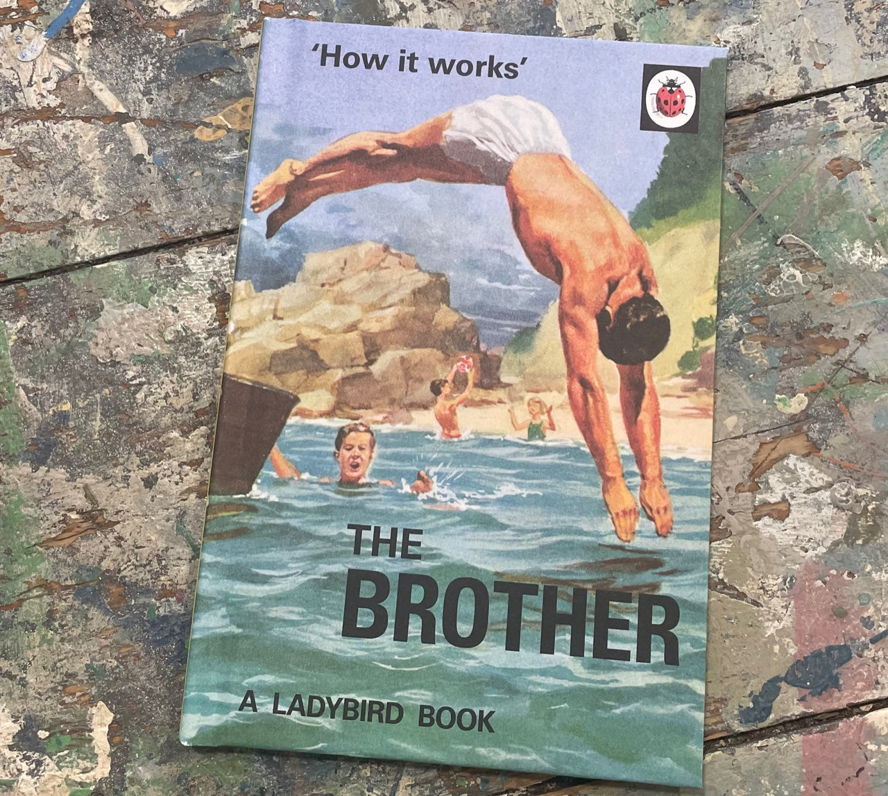 LadyBird book of The Brother