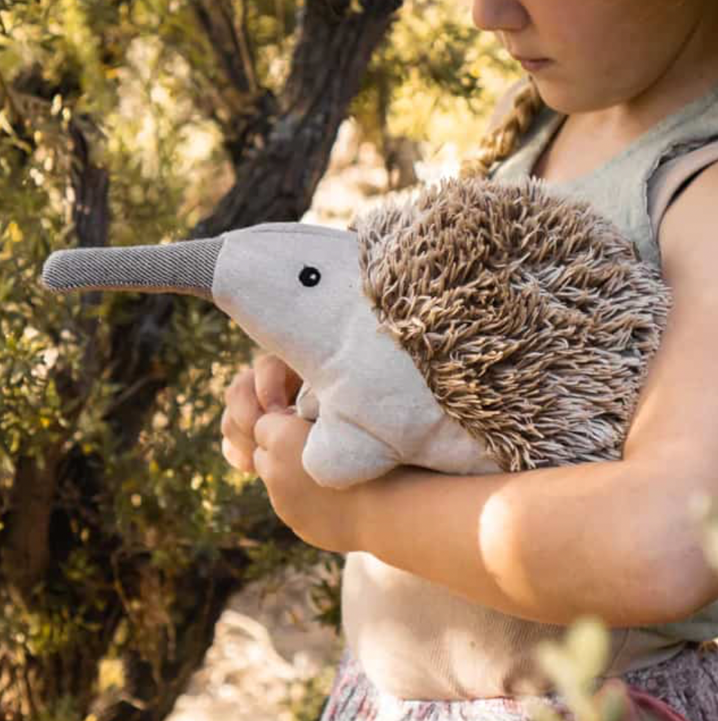 Spike the Echidna