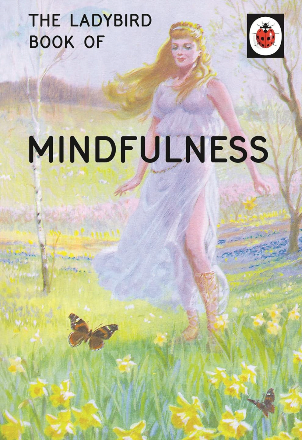 LadyBird book of Mindfulness