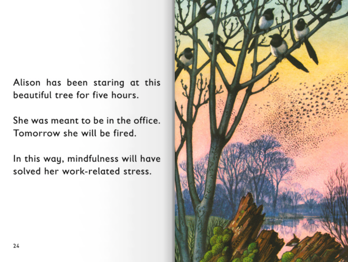 LadyBird book of Mindfulness