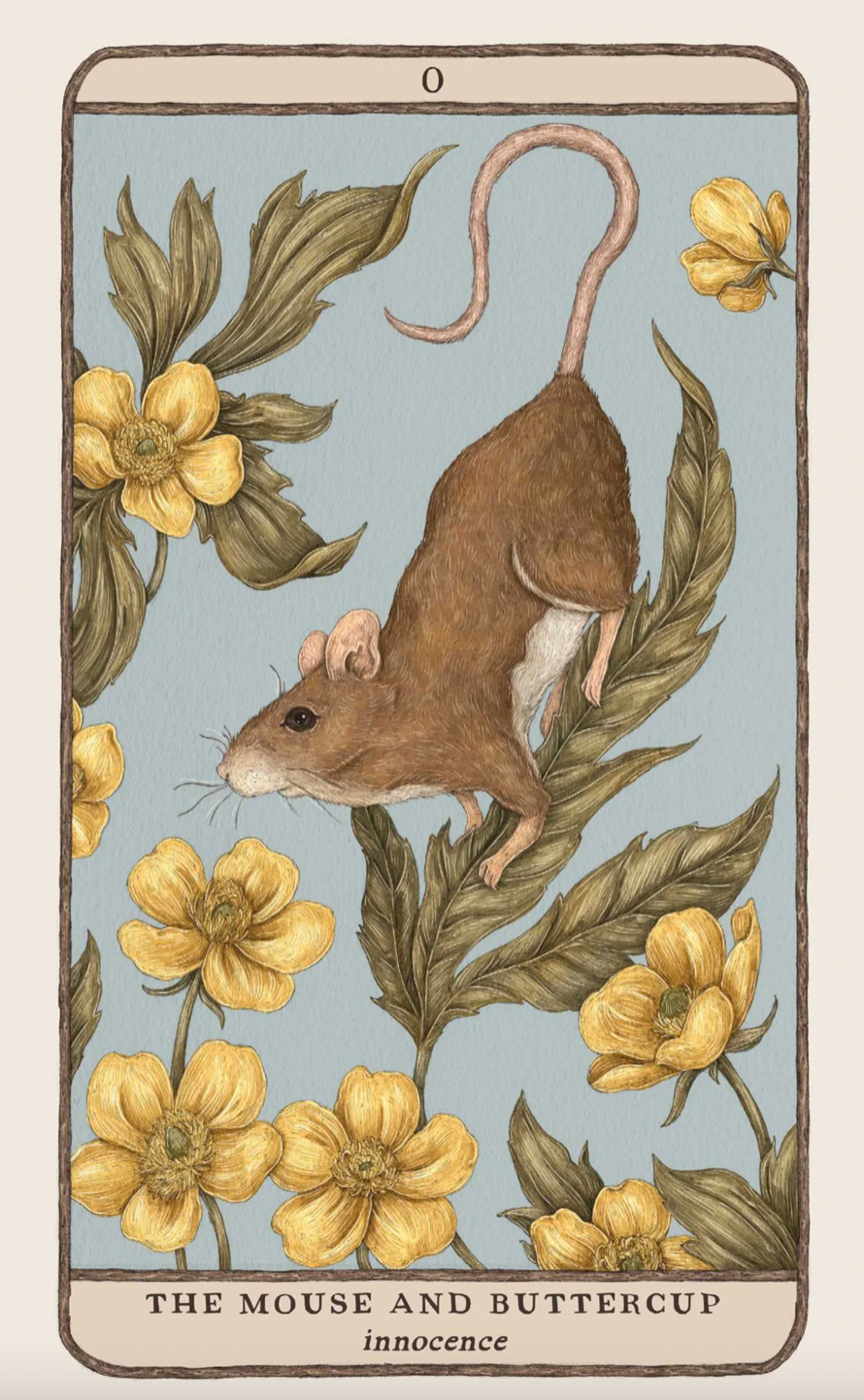 Woodland Wardens Oracle Deck