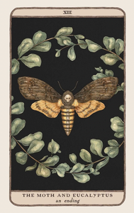 Woodland Wardens Oracle Deck