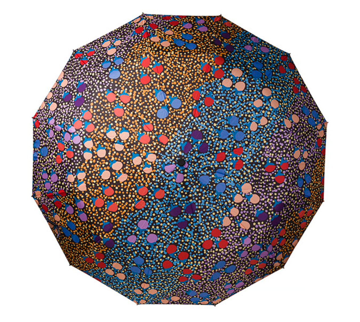 Fold Up Umbrella  Charlene Marshall