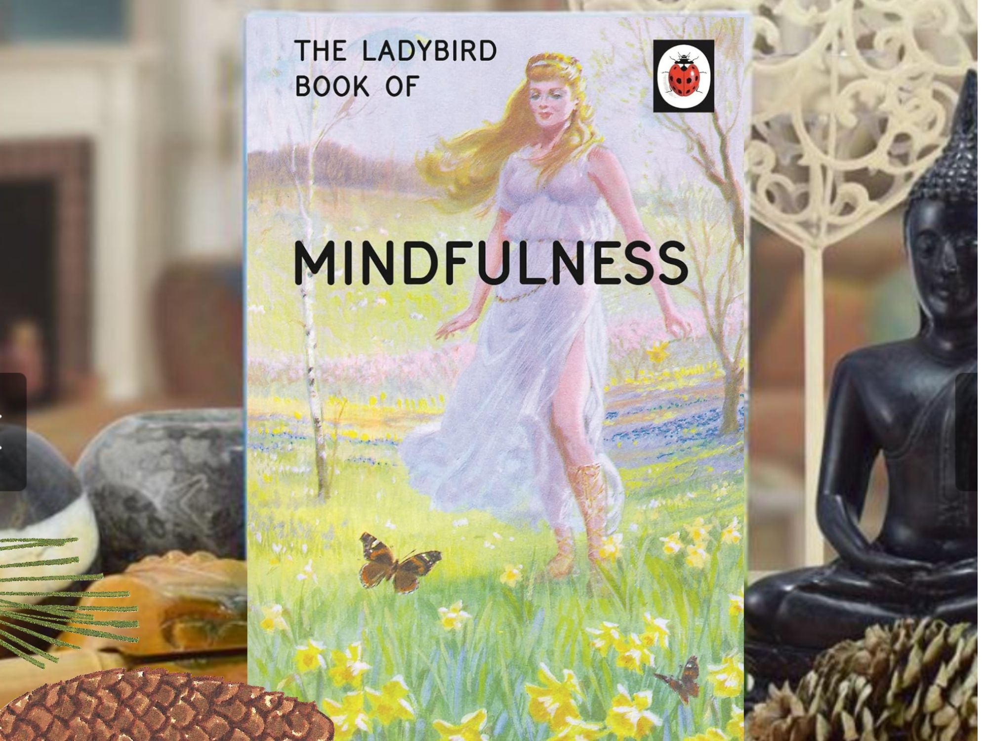 LadyBird book of Mindfulness
