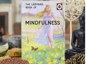 LadyBird book of Mindfulness