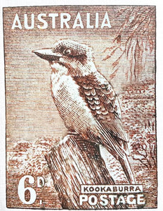 Card - Kookaburra