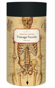 Puzzle....Skeletal System