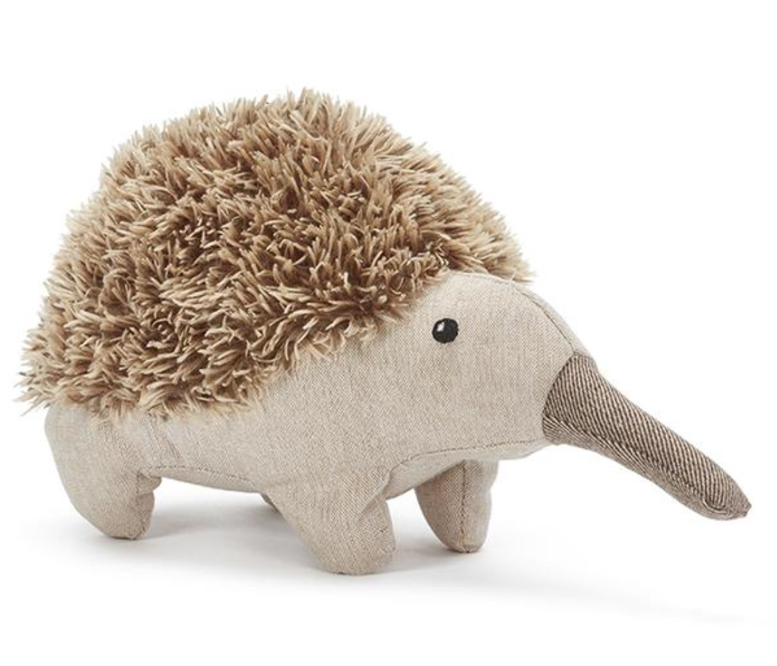 Spike the Echidna